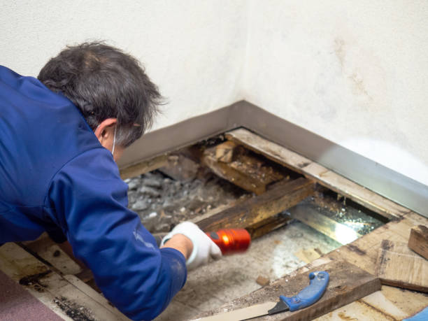 Best Crawl Space Mold Removal  in Cleveland, AL