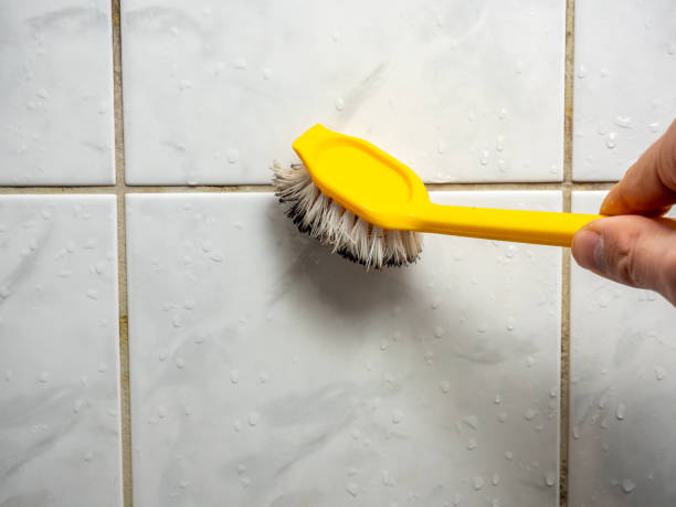 Trusted Cleveland, AL Mold Removal Experts
