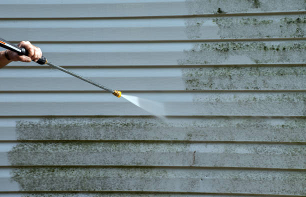 Certified Mold Removal in Cleveland, AL