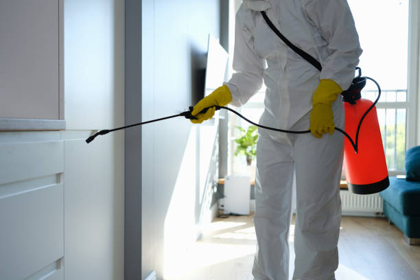 Best Commercial Mold Removal  in Cleveland, AL